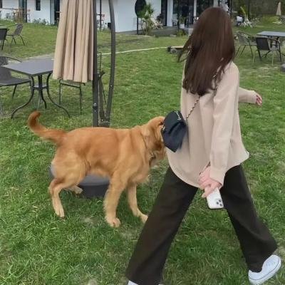 推新人的故事